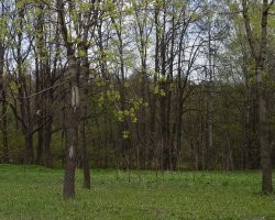 1407397544_0264.250x200